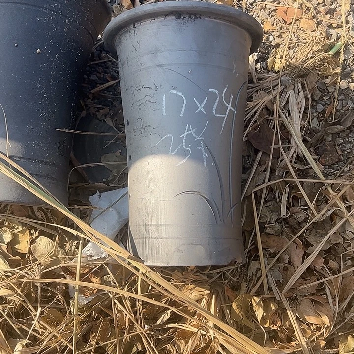 特价直筒口径17高度24