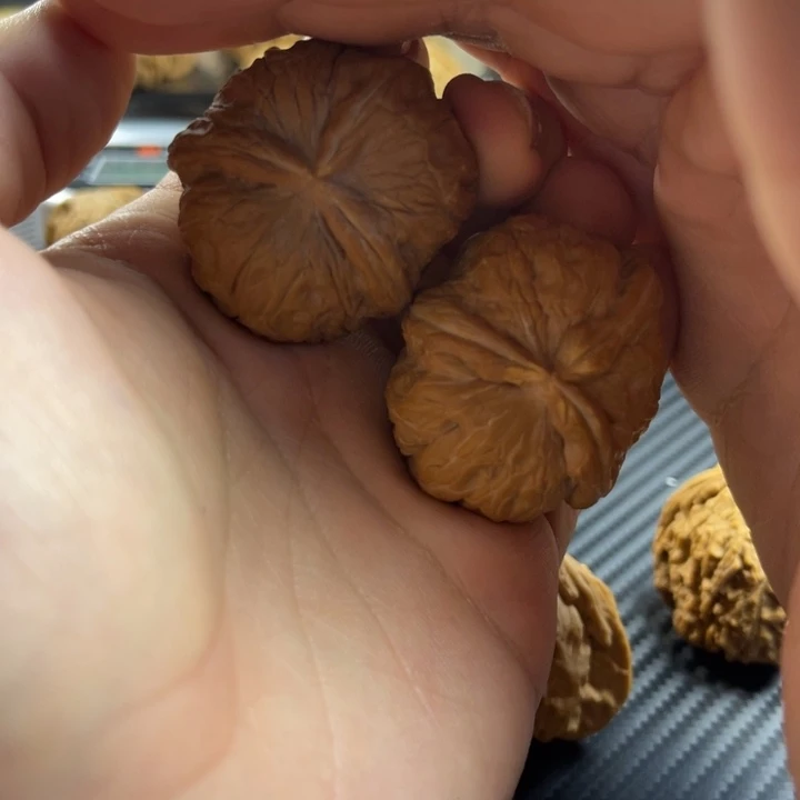 把件文玩核桃41元宝三棱（黄