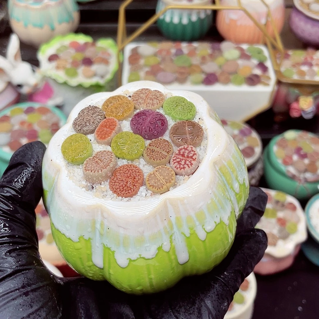 郎哥18包邮0617-146