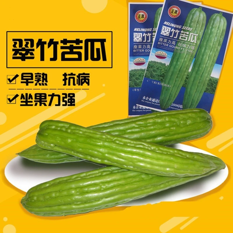 油苦瓜种子油亮翠绿疙瘩绿蔬菜种籽耐热耐寒高产四季翠竹油苦瓜
