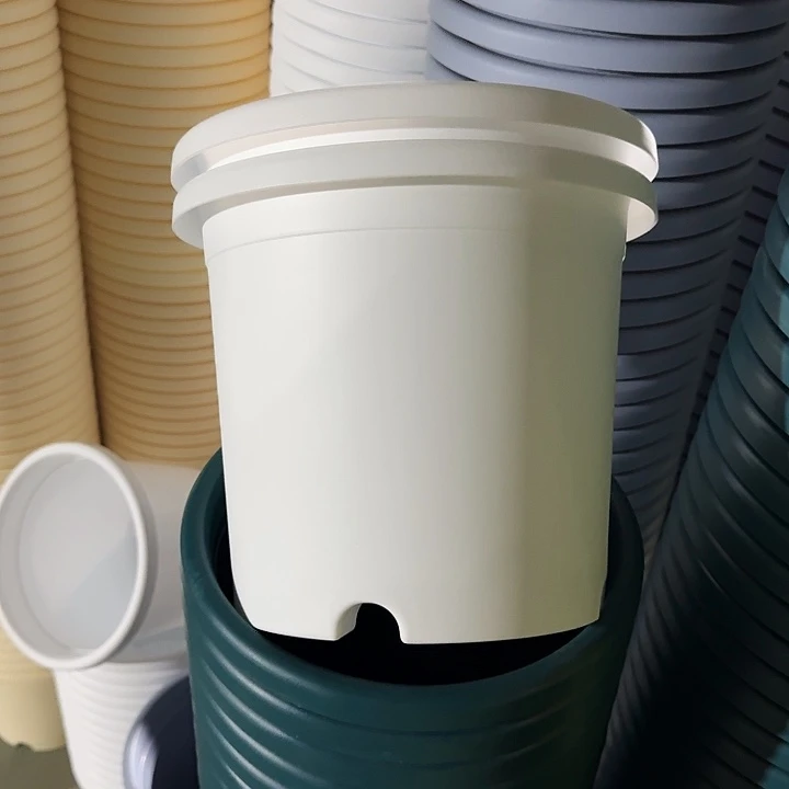 四季4#口径25白色10个无托