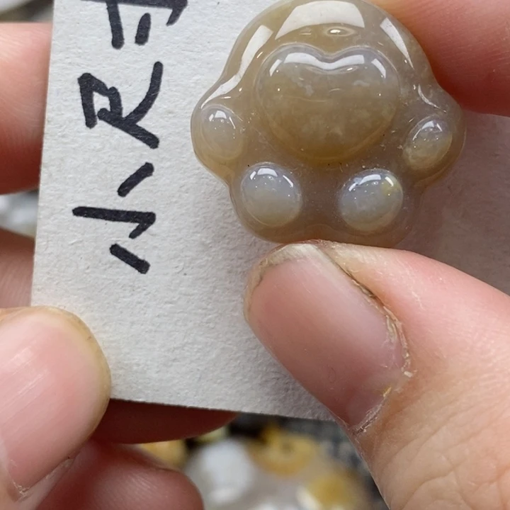 颈饰未镶嵌硅化珊瑚（珊瑚玉）