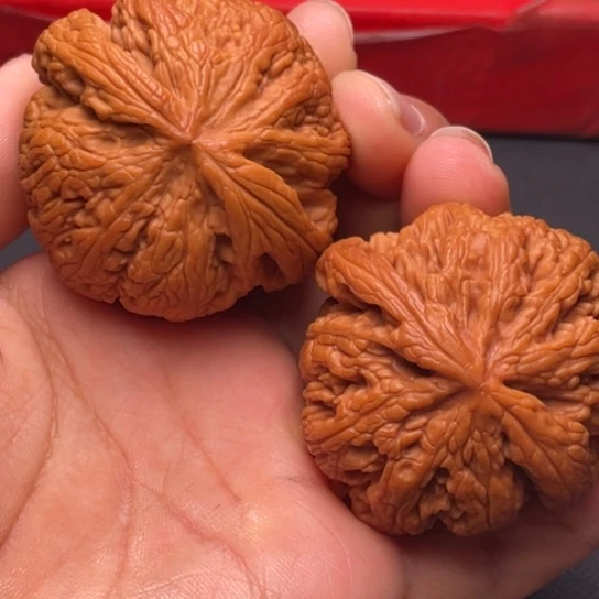 文玩核桃把件秦岭山脉核桃