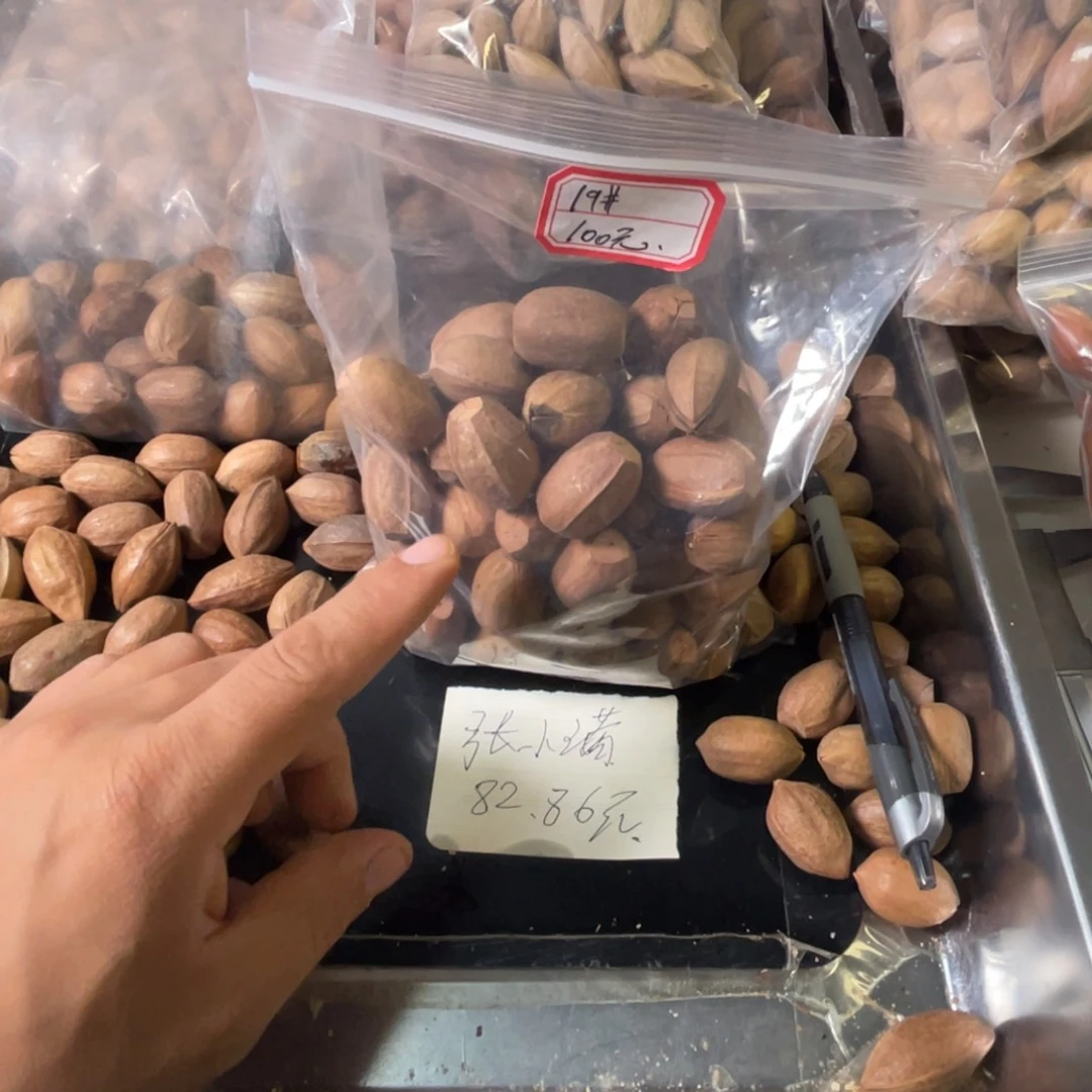 吊坠龙脊菩提张*满