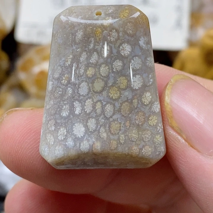 颈饰未镶嵌硅化珊瑚（珊瑚玉）小