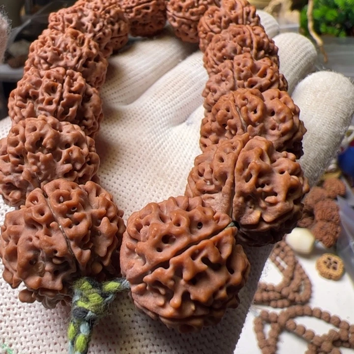 金刚菩提手串22➕蜂窝双龙