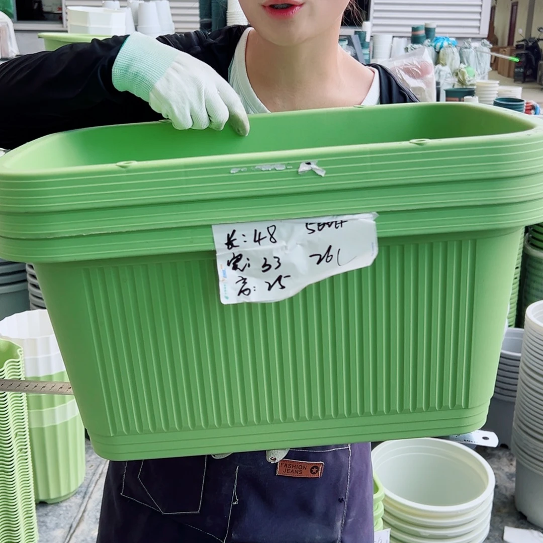 菜盆500#果绿3个无托
