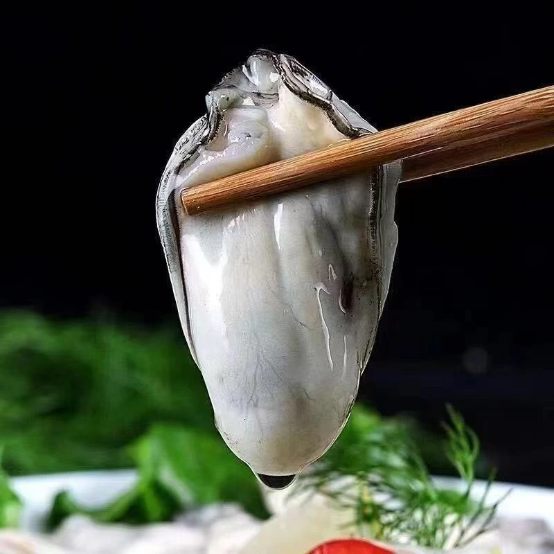 【粉丝福利】(顺丰包邮)新鲜无壳生蚝肉鲜冻发货500克/罐