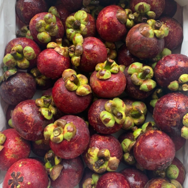 【尝鲜】泰国老树麻竹山竹5A尝鲜1斤装新鲜