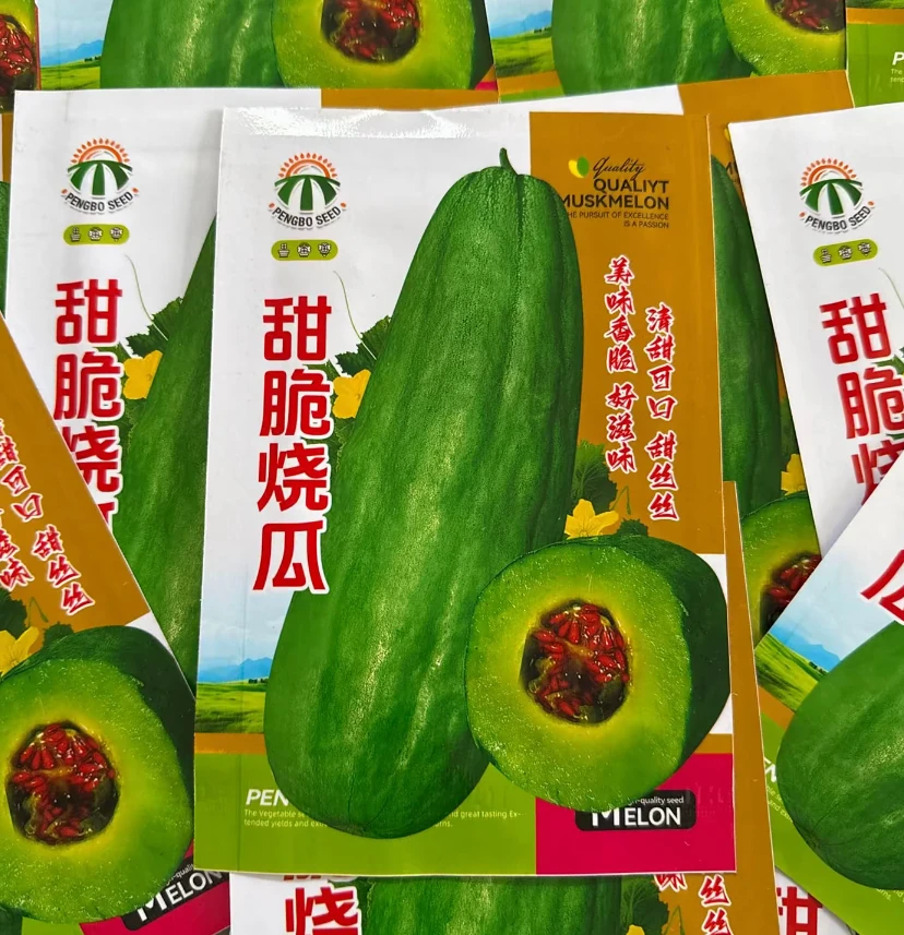 【甜脆烧瓜种子】四季种植盆栽地栽阳台小院种植