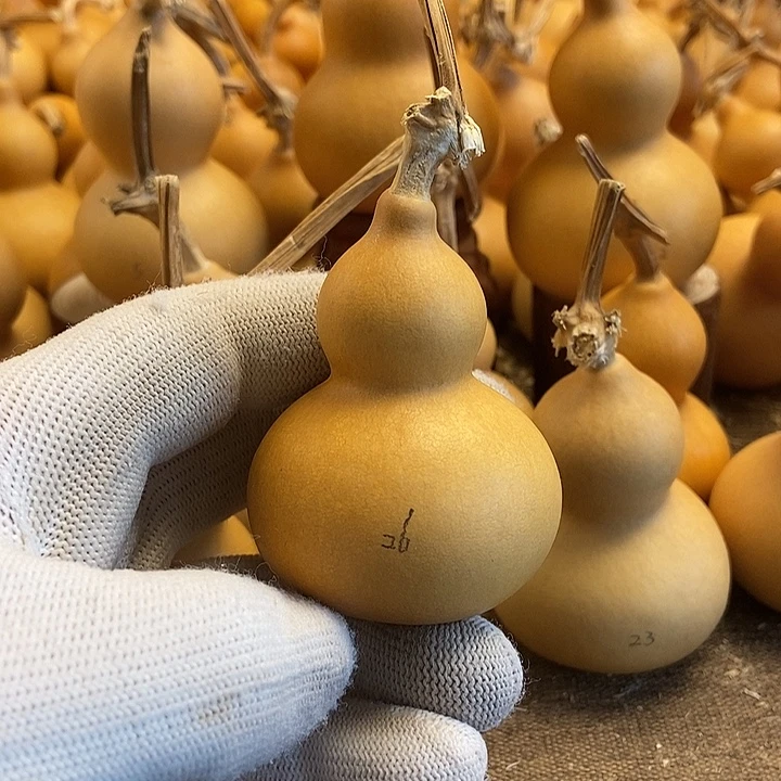 文玩葫芦 完美主义者 慎拍26