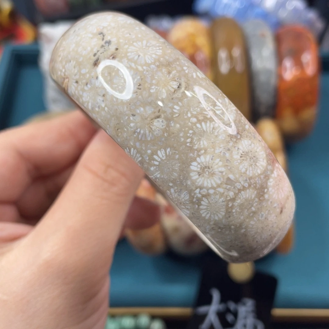 未镶嵌手镯硅化玉