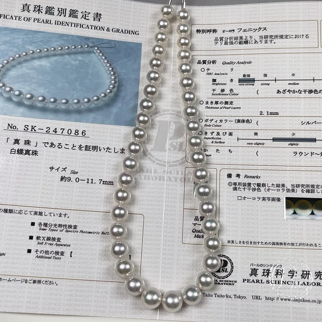项链海水珍珠银S925镶嵌澳白凤凰9-11.7大证