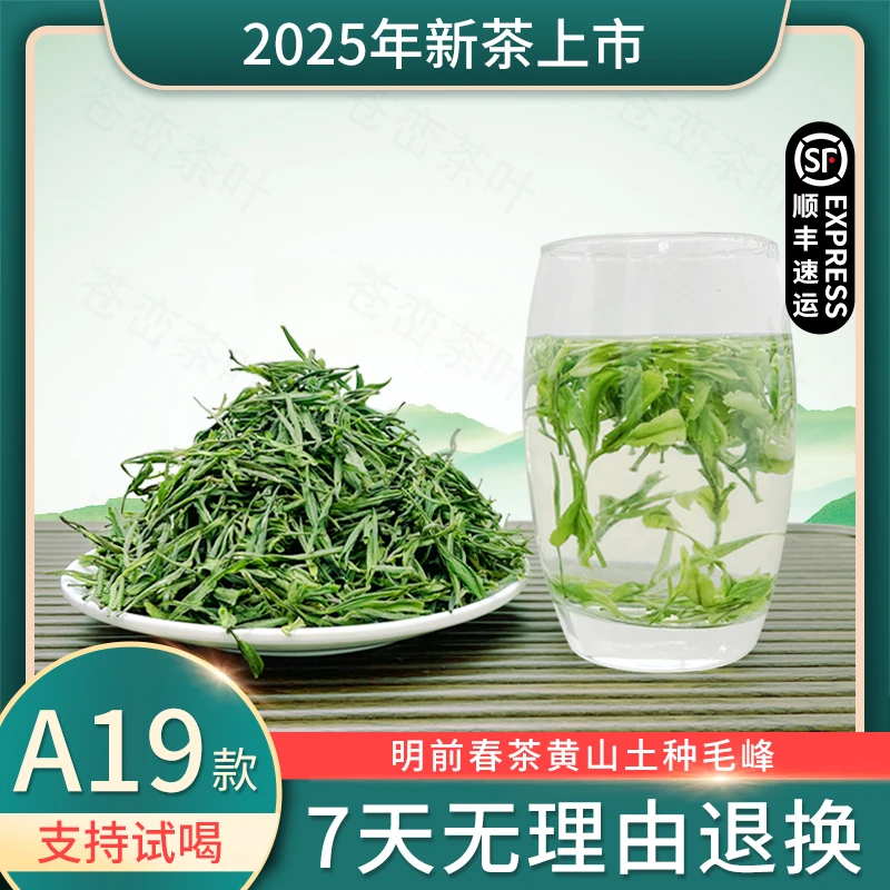 25年正宗新茶 明前精品 黄山土种毛峰 A19款 茶叶 绿茶罐装盒装