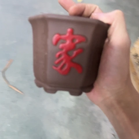 ····全是福利····
