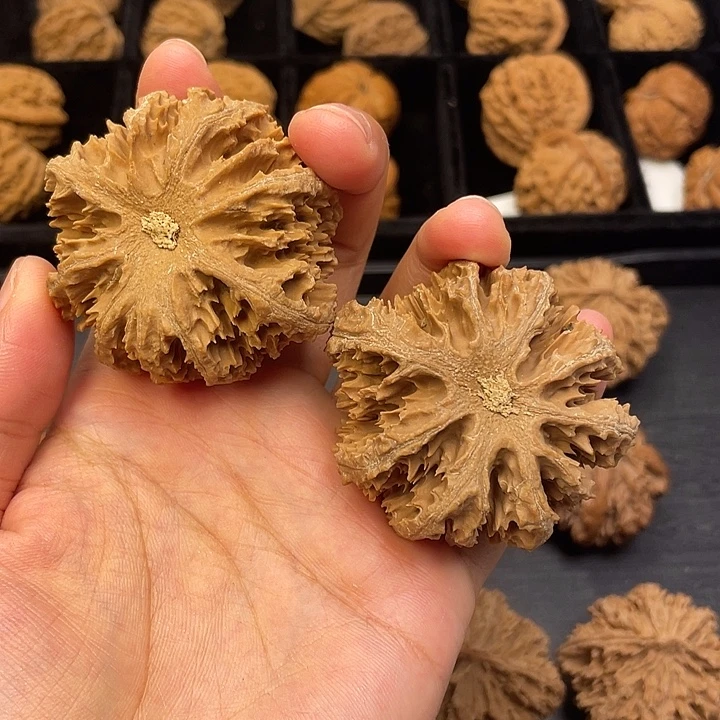 沐***爸文玩核桃吊坠把vvvvvvvvvvvvvvvvvv