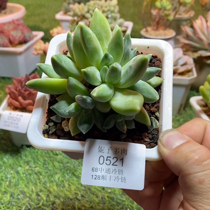 0521啊啊啊啊啊啊啊啊
