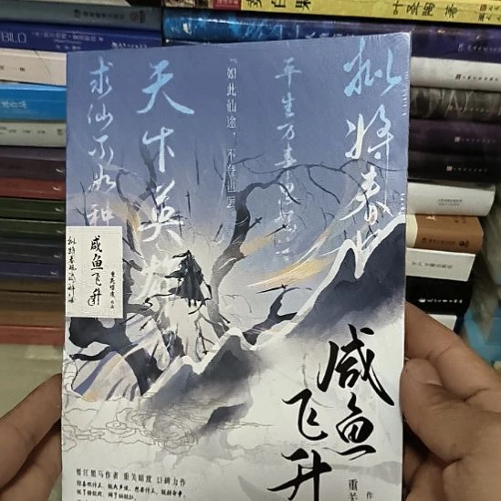 咸鱼飞升，全新塑封