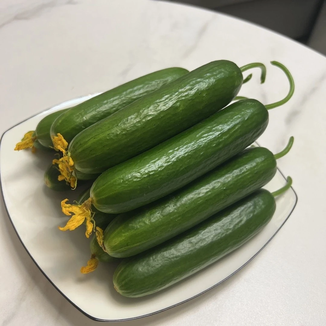新鲜山东蔬菜水果黄瓜生吃脆青瓜当季无刺小黄瓜
