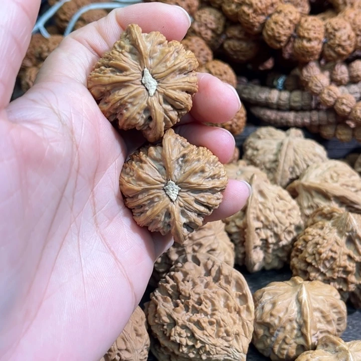 猪***8手串金刚菩提核桃