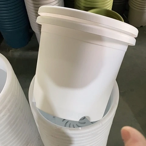 树脂有灰5号6个带托白