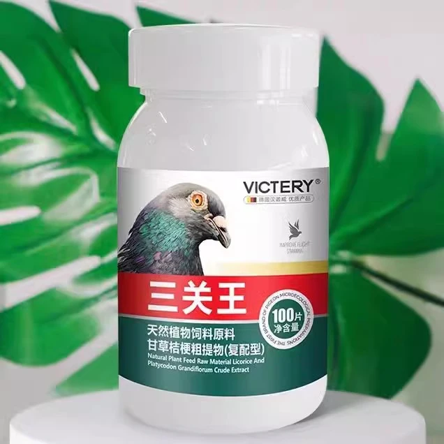 汉诺威三关王信鸽赛鸽毛呼球念珠菌过三关单关多关赛王赛鸽用品