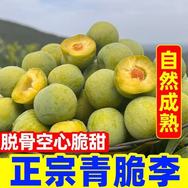 (顺丰京东冷链)正宗四川汶川 脱骨青脆李新鲜水果酸甜爽口四川省