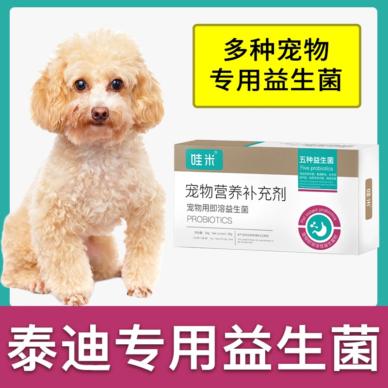 泰迪犬专用益生菌粉成幼犬用狗狗宠物即溶肠胃宝肠道消化宝