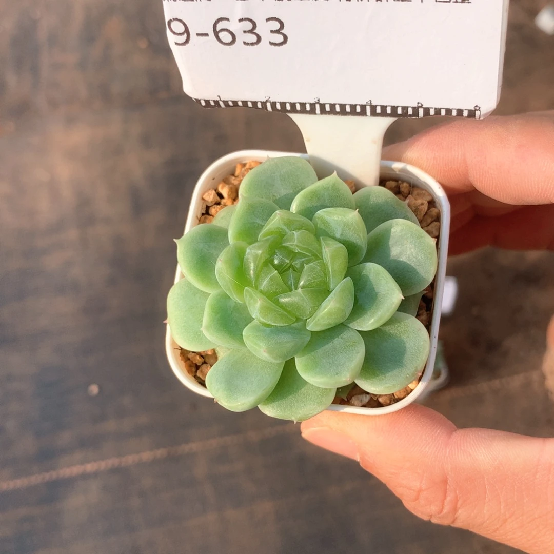 白心财富密码精品58包邮