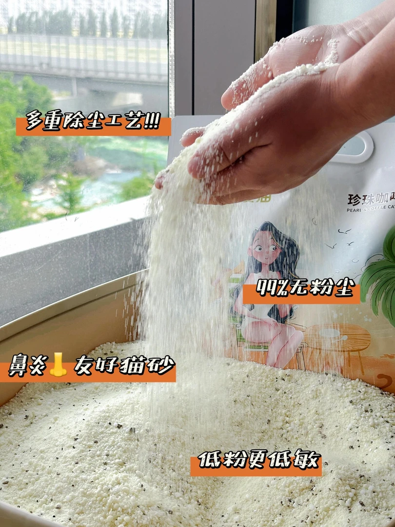 N1爱宠爱猫珍珠咖啡砂8L  2.8 kg