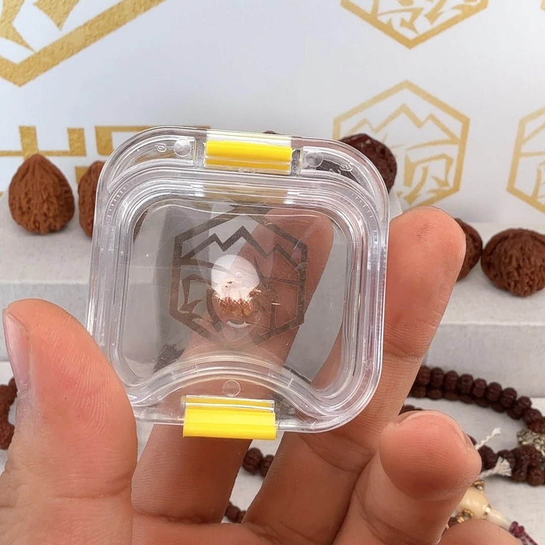 金刚菩提吊坠春*慢五千粉丝福利线束