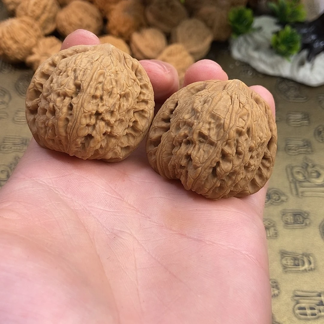 核桃泥鳅背41+42编号550纹路浅好打理好上色小黄点