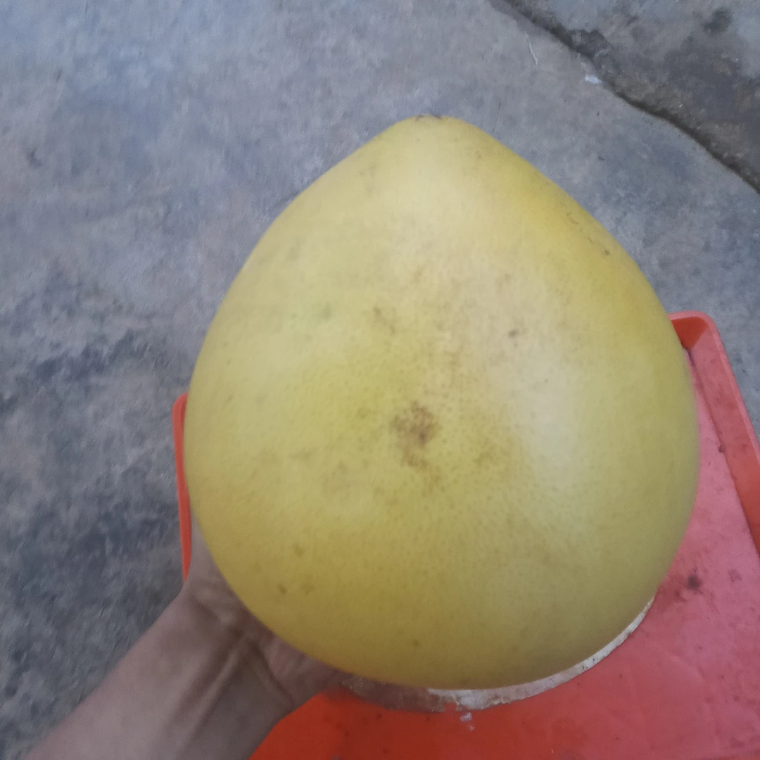 佤乡好货推荐{柚子}好货推荐