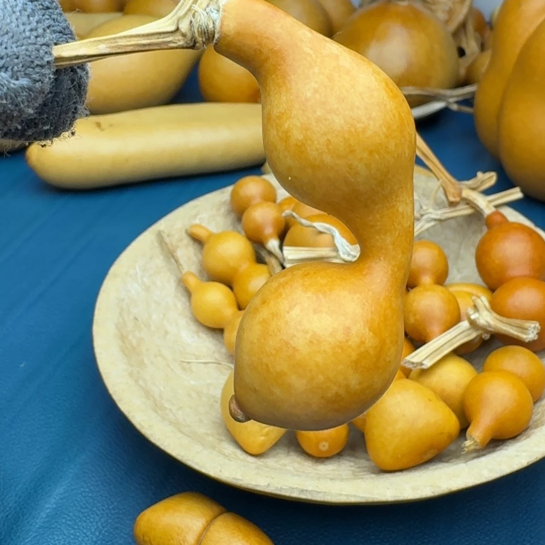 星***烂葫芦葫芦葫芦葫芦葫芦