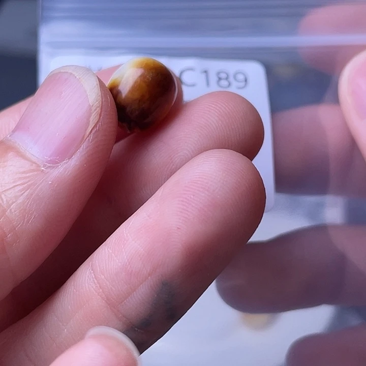 未镶嵌虫珀裸石琥珀