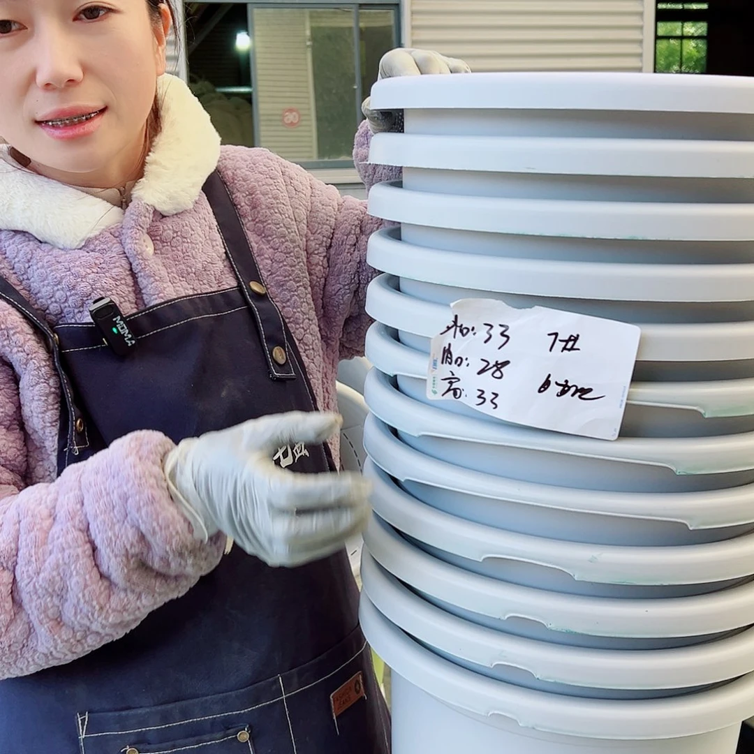 瑕疵四季盆7#灰白6个无托