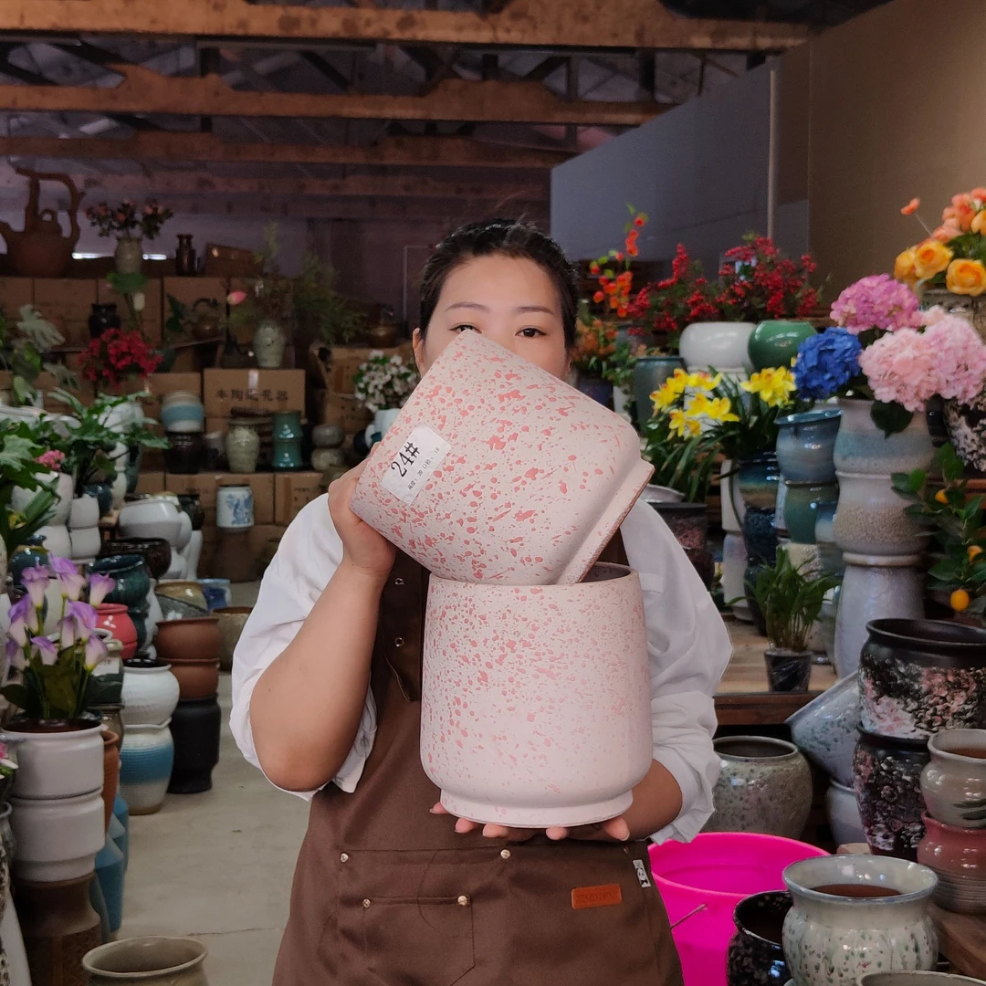 24#精致复古 简约陶瓷 紫砂花盆上釉 绿萝 室内高度20cm 口径18cm