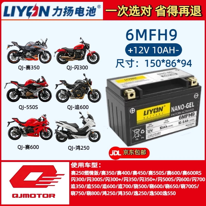 钱江 鸿250赛250赛350赛400赛550S赛600闪300追600摩托车通用电瓶