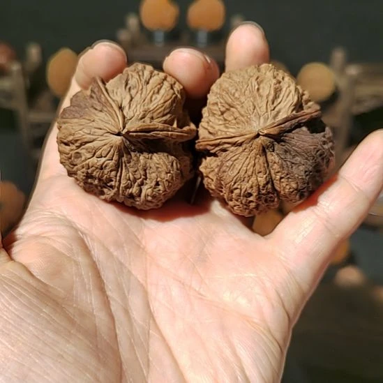 把件文玩核桃福利异型带彩41尺