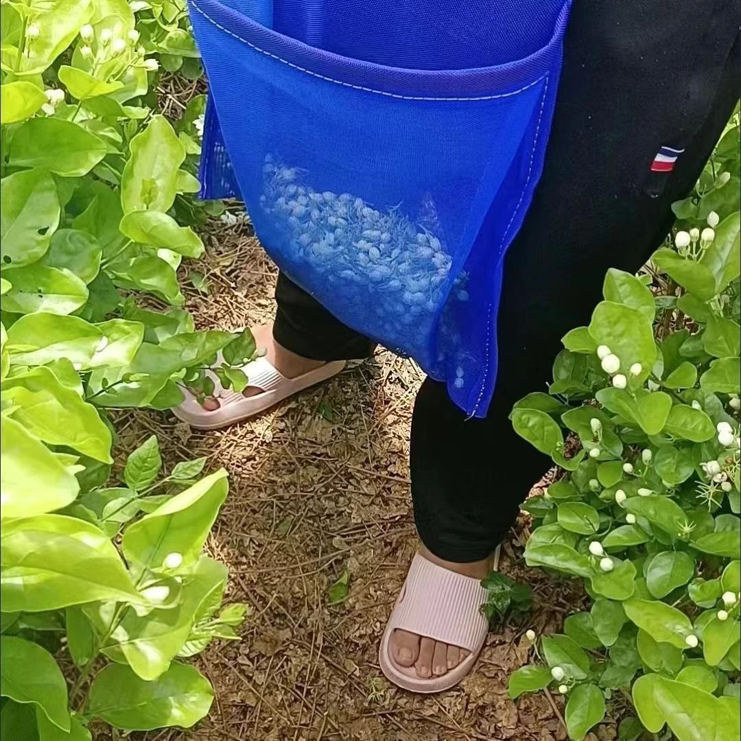 采茶专用袋子摘茶叶神器篮子篓子腰间系腰式围裙采茶娄网兜摘花袋