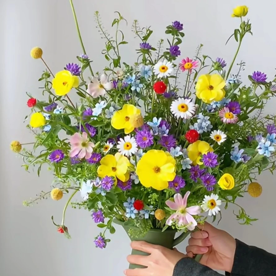 【草花专区】花店用花、加5元顺丰包邮、含打包耗材费、包售后