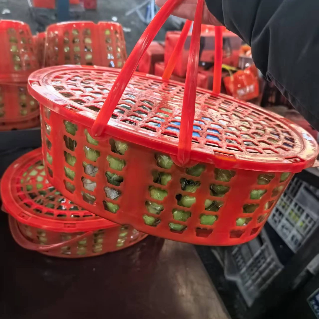 云南奶油青枣毛重4公斤左右