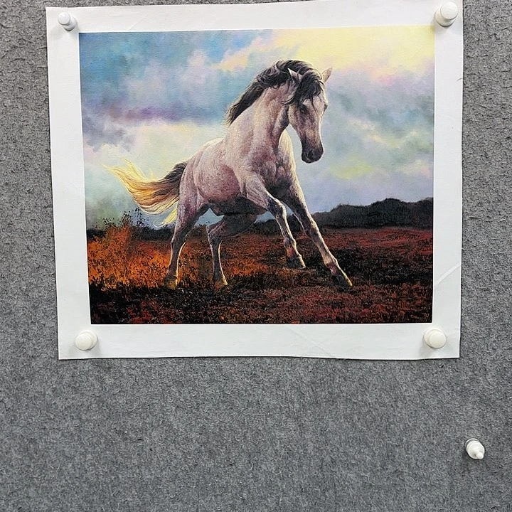 书法作品多次参加全国