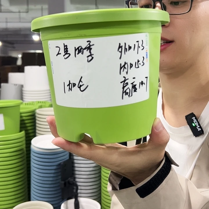 特价2号四季口17高14.7果绿无托10只