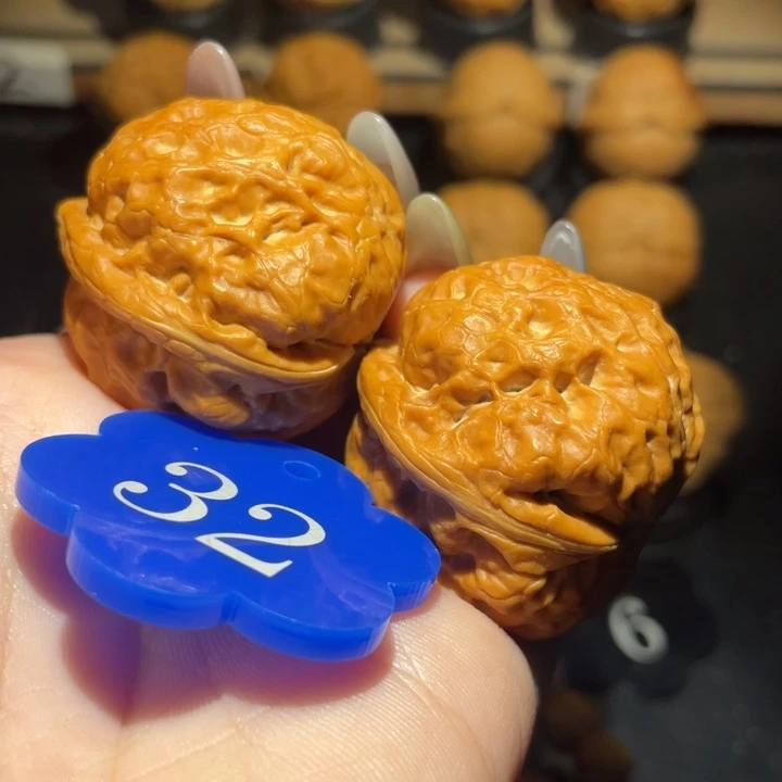 小***乐 玉兔金蟾37尺寸核桃。