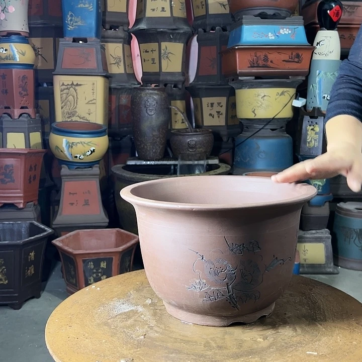 30平角金钟花盆花盆花盆