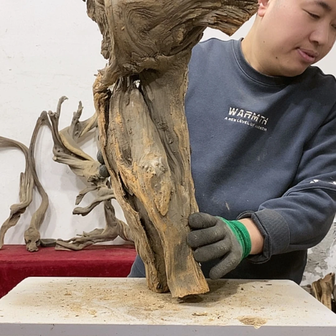 【闪购商品】柏木滁****市我们都是好孩子