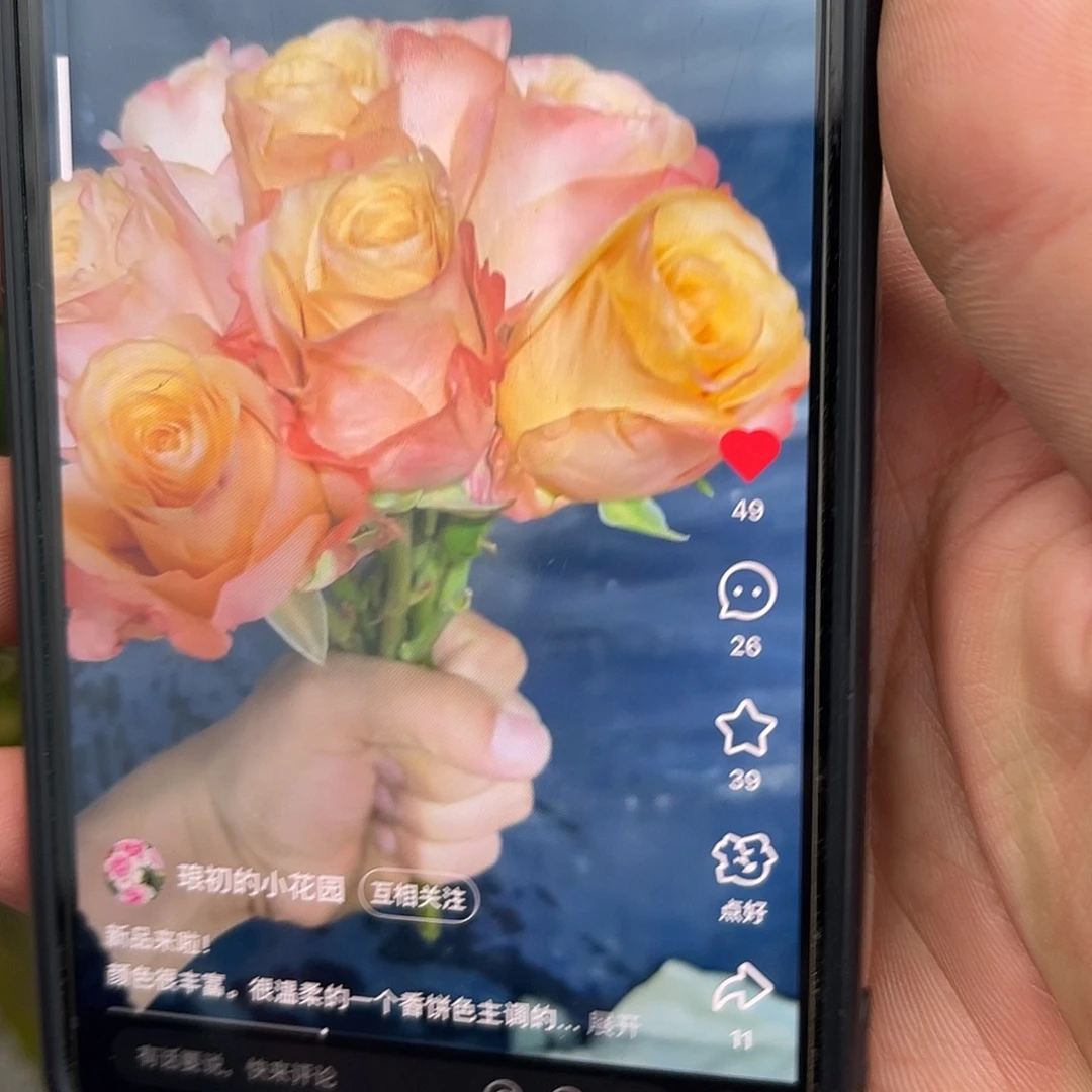 无花朵———温柔山丘 福利款