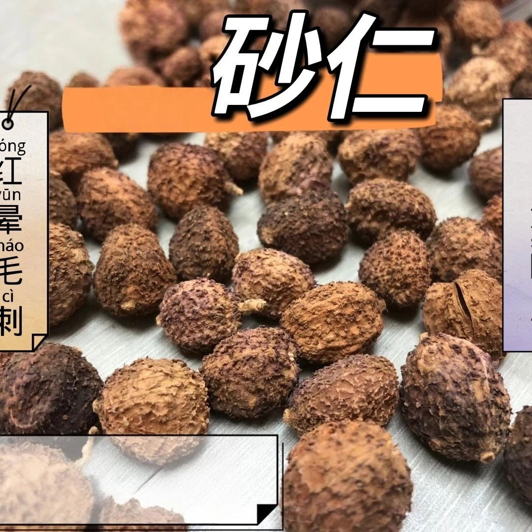 【汉馥】精选广东阳春春砂仁人自然生晒煲汤泡酒煮水正品正宗