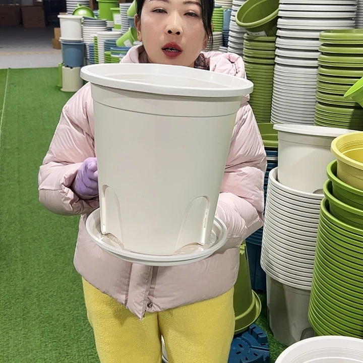 正品圆控口27.5高28白色5只带托